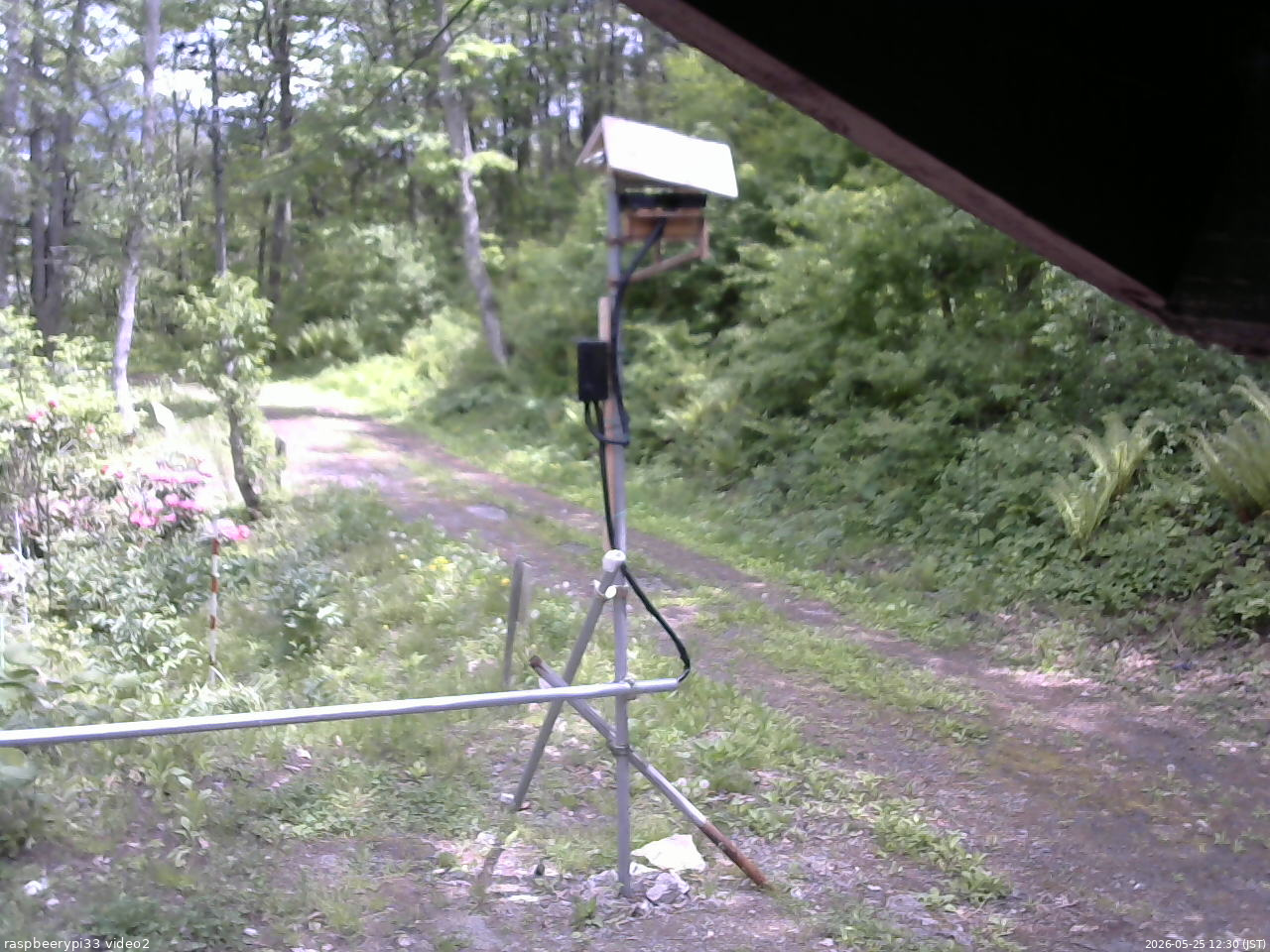 長野県菅平高原 ゆたか山荘 南側 2026/05/25 12:30