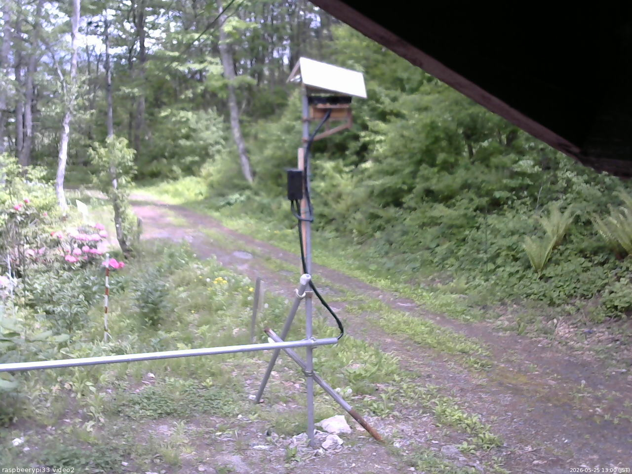 長野県菅平高原 ゆたか山荘 南側 2026/05/25 13:00