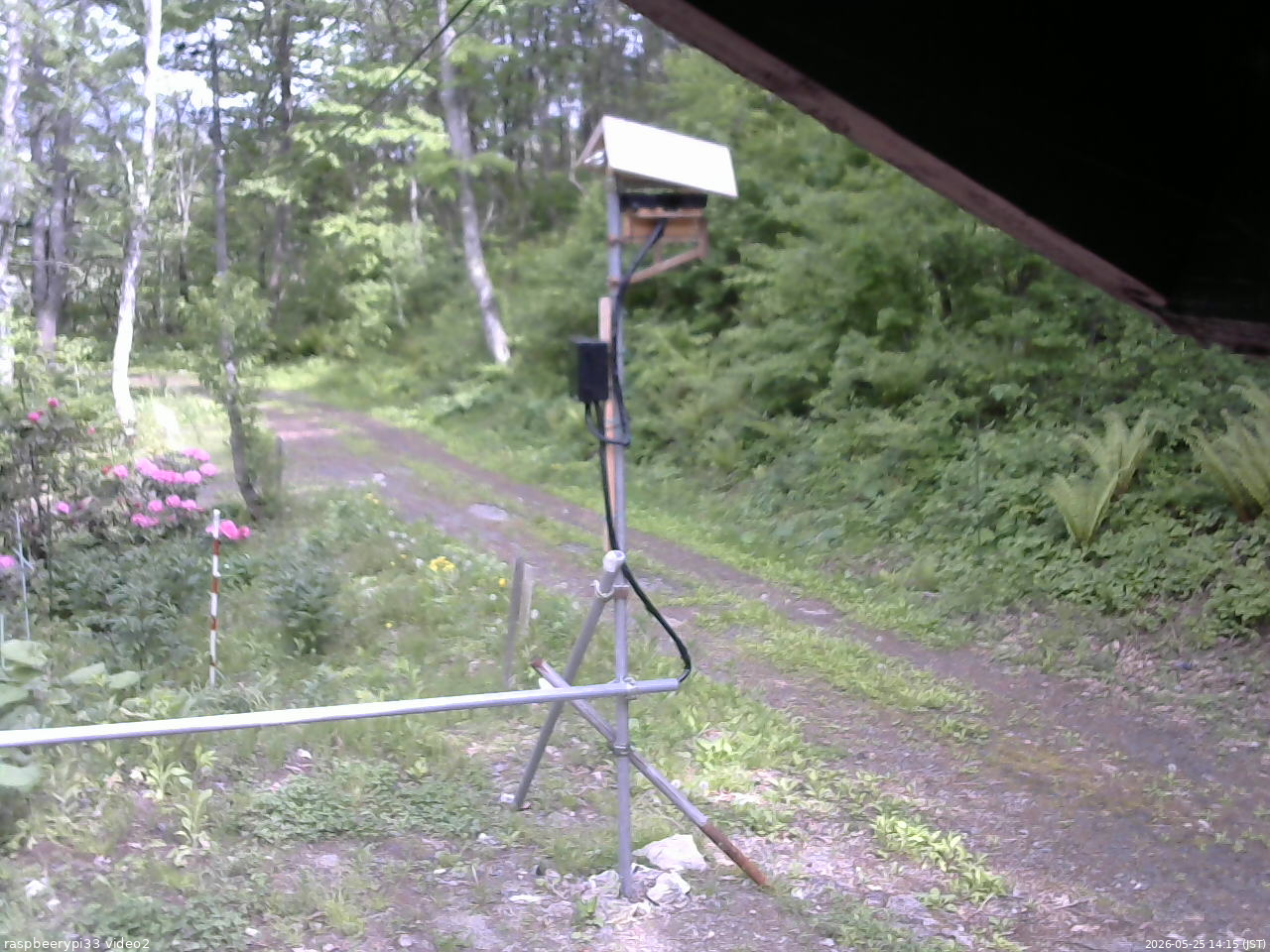 長野県菅平高原 ゆたか山荘 南側 2026/05/25 14:15