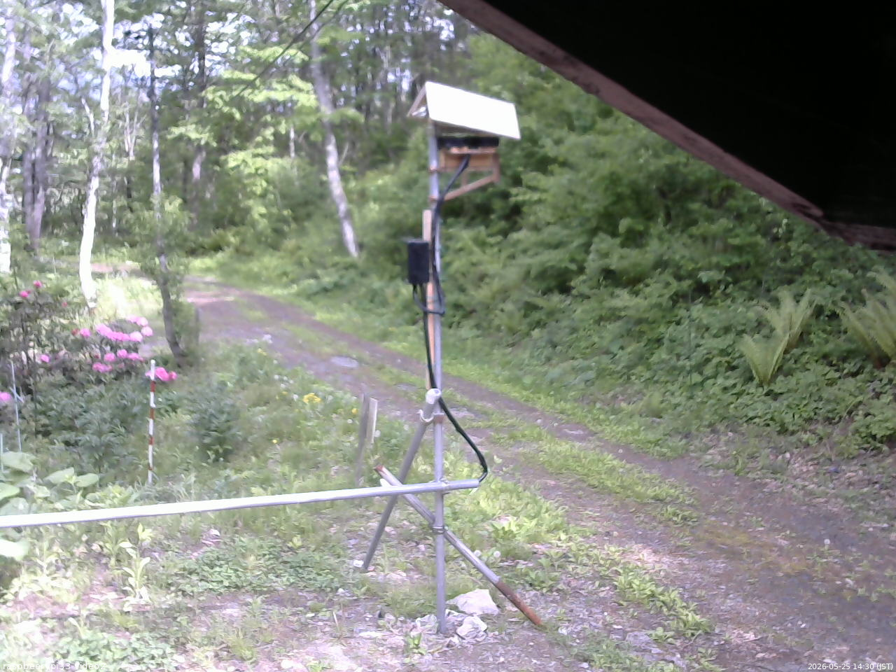 長野県菅平高原 ゆたか山荘 南側 2026/05/25 14:30