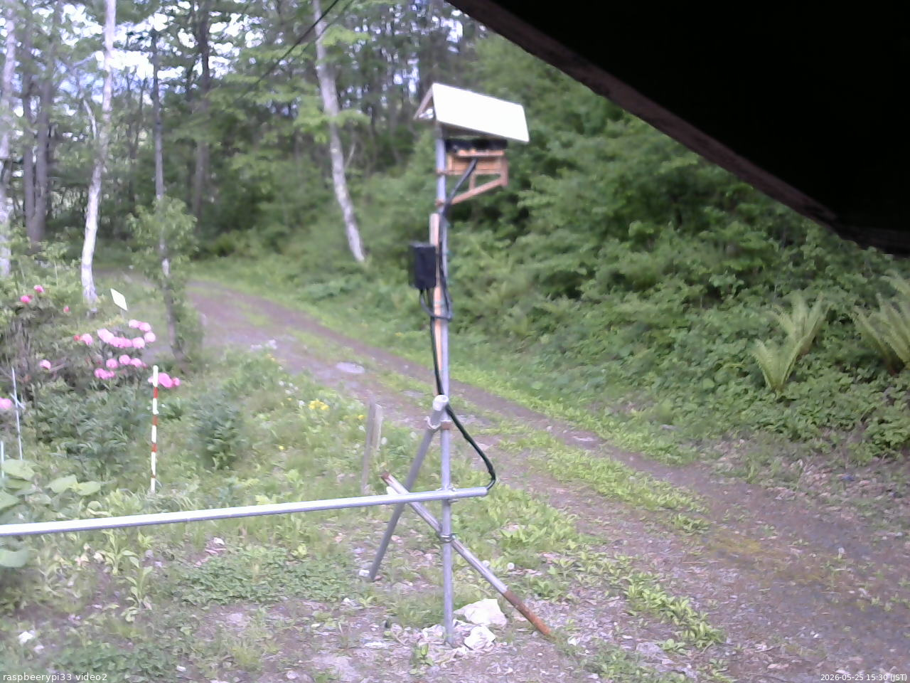 長野県菅平高原 ゆたか山荘 南側 2026/05/25 15:30