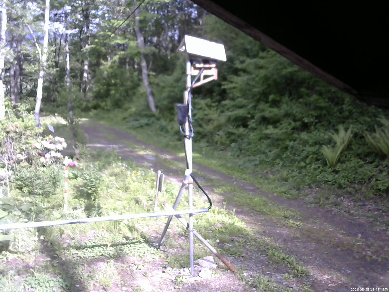 長野県菅平高原 ゆたか山荘 南側 2026/05/25 15:45