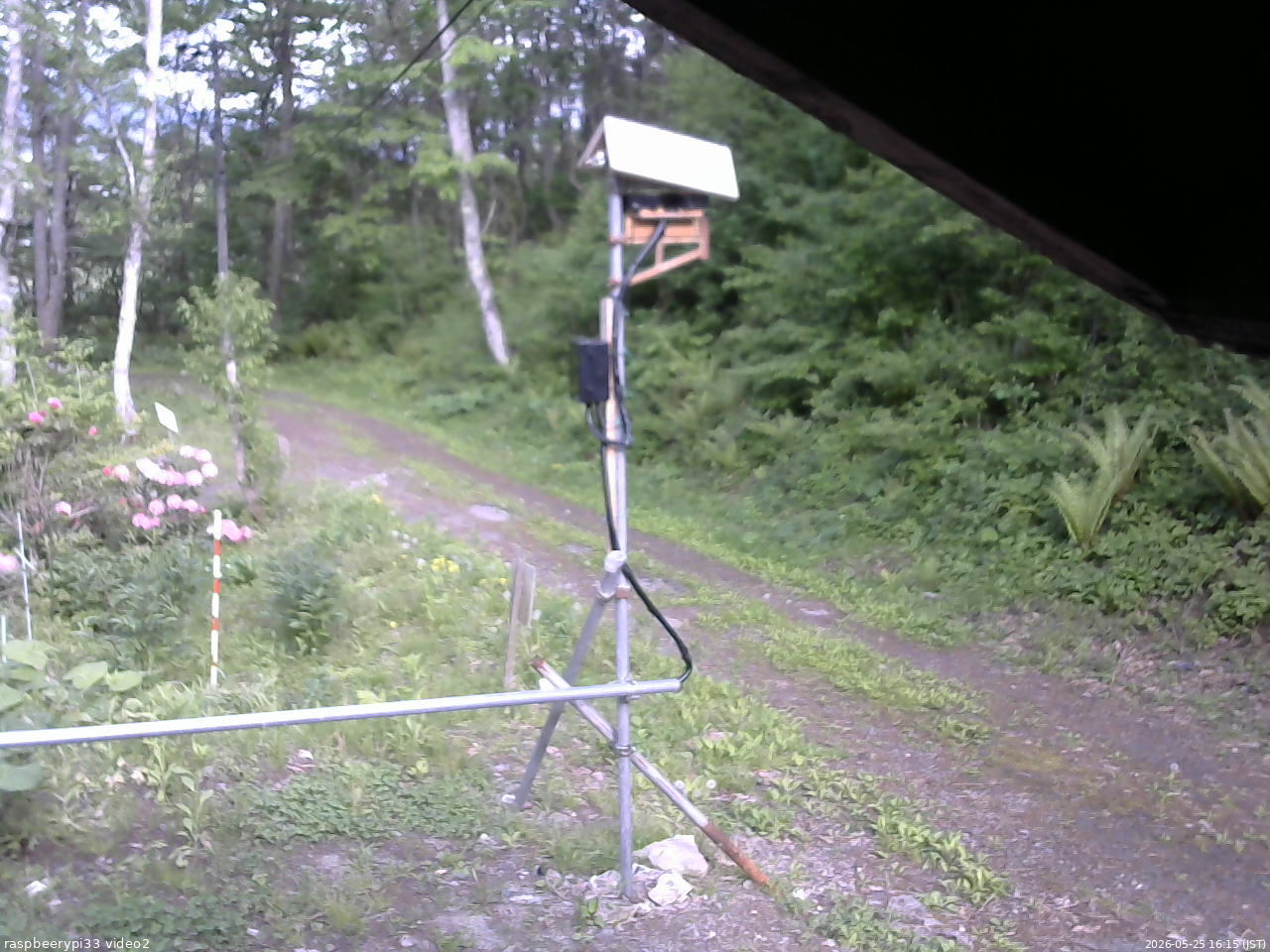 長野県菅平高原 ゆたか山荘 南側 2026/05/25 16:15