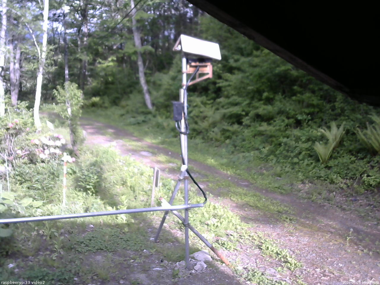 長野県菅平高原 ゆたか山荘 南側 2026/05/25 16:30