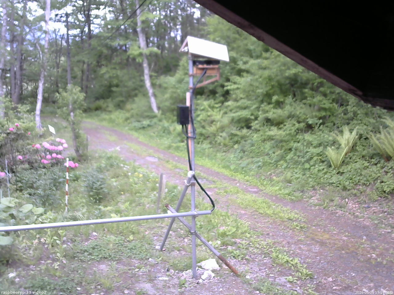 長野県菅平高原 ゆたか山荘 南側 2026/05/25 17:15