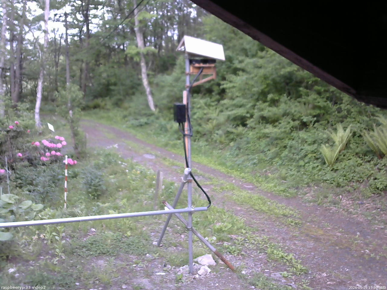 長野県菅平高原 ゆたか山荘 南側 2026/05/25 17:30