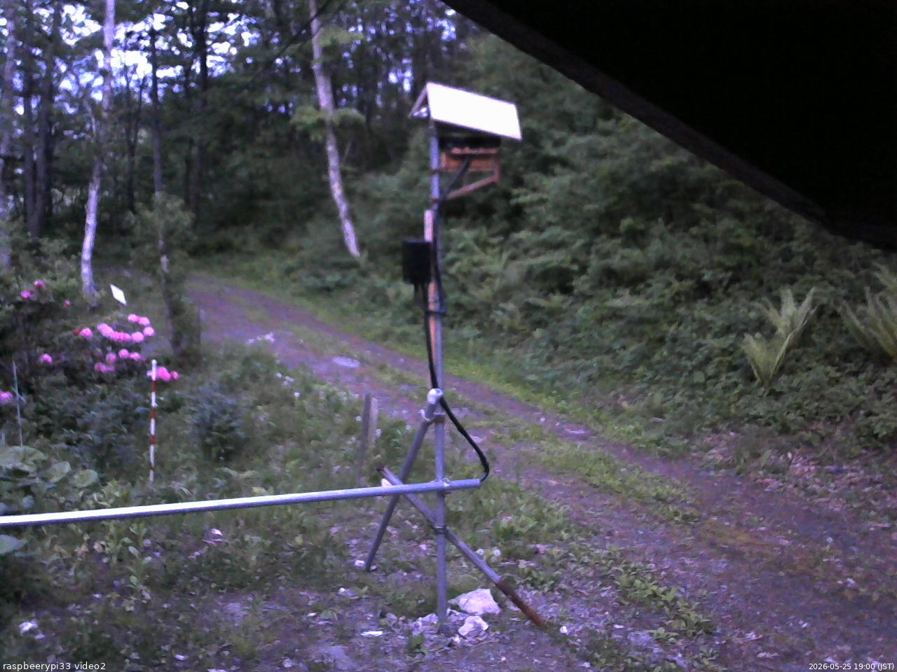 長野県菅平高原 ゆたか山荘 南側 2026/05/25 19:00