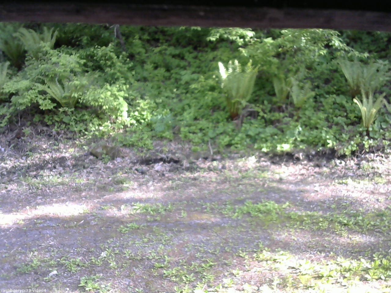 長野県菅平高原 ゆたか山荘 東側(坂下) 2026/05/25 16:00