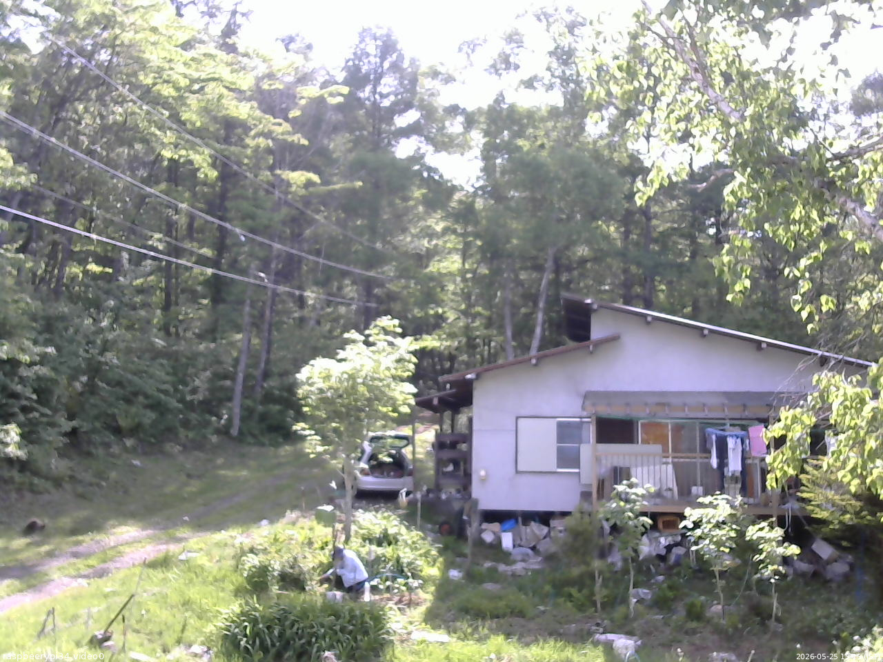 長野県菅平高原 ゆたか山荘 西側(坂上) 2026/05/25 15:15