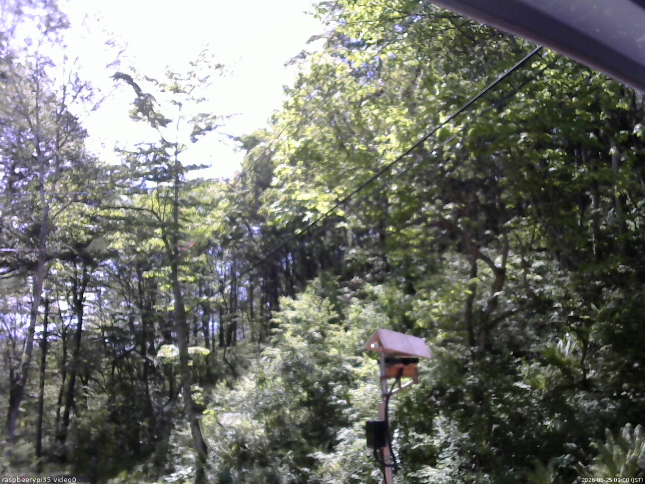 長野県菅平高原 ゆたか山荘 温度計 2026/05/25 09:00