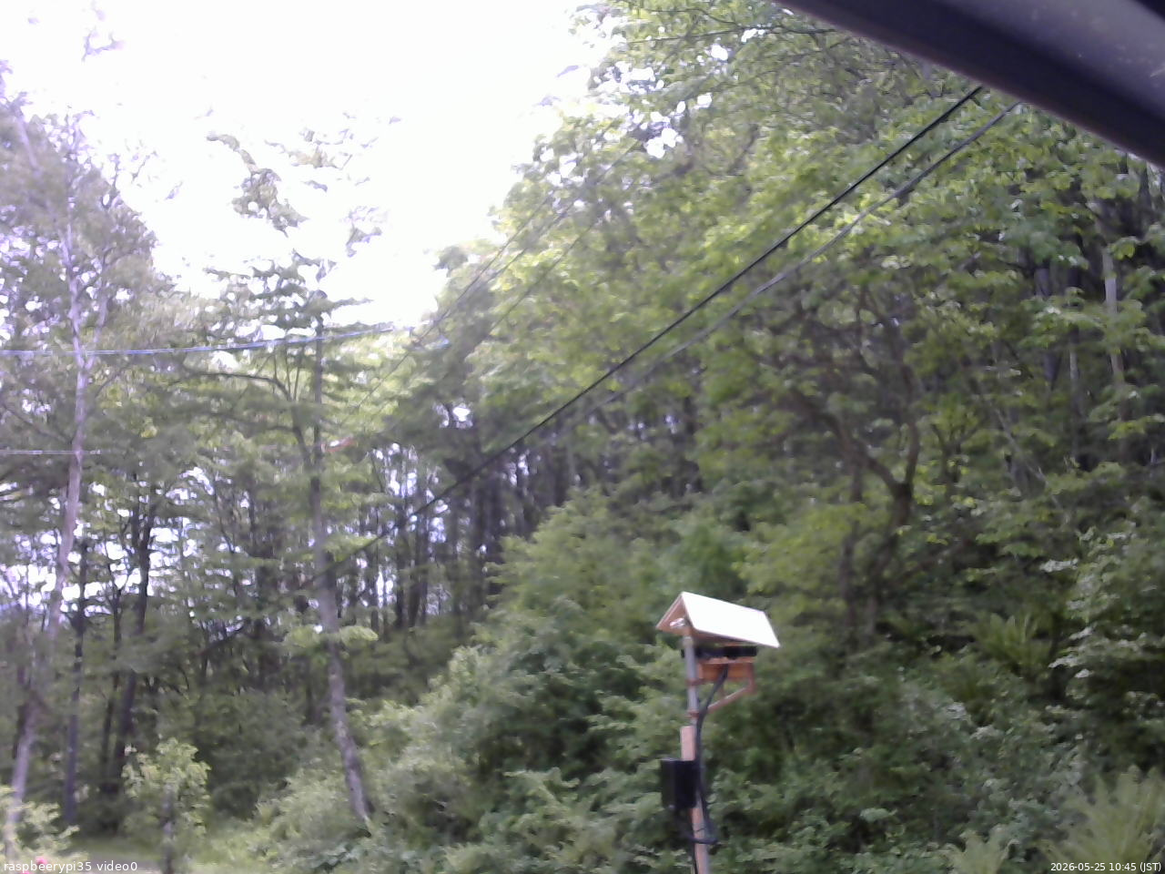 長野県菅平高原 ゆたか山荘 温度計 2026/05/25 10:45