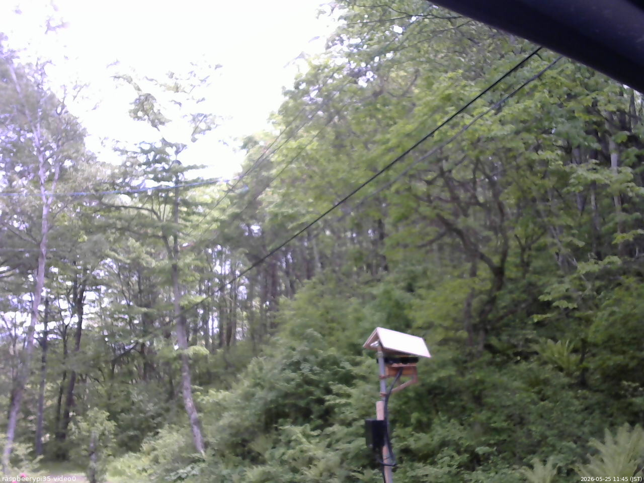 長野県菅平高原 ゆたか山荘 温度計 2026/05/25 11:45