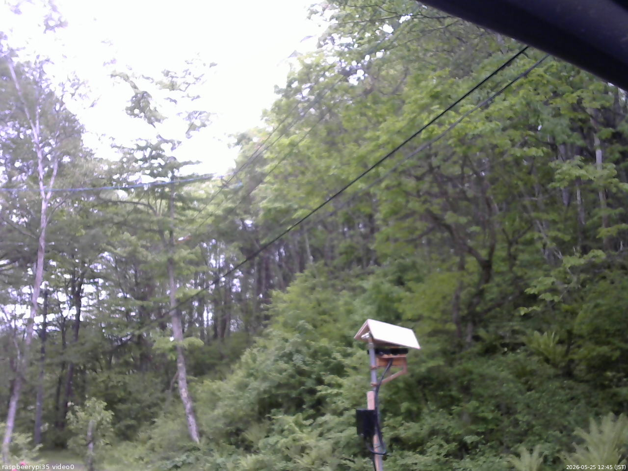 長野県菅平高原 ゆたか山荘 温度計 2026/05/25 12:45