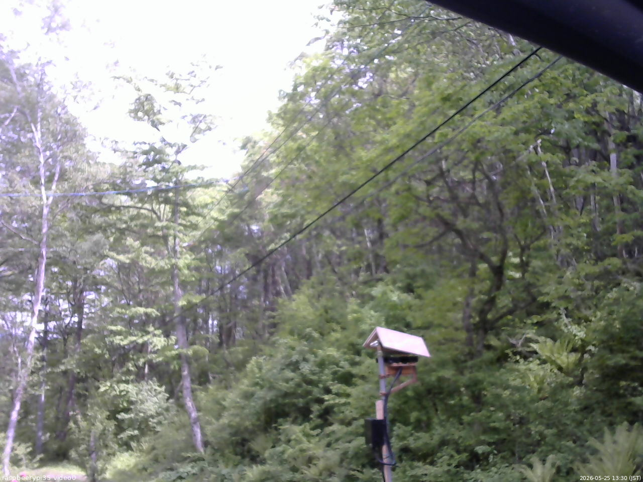長野県菅平高原 ゆたか山荘 温度計 2026/05/25 13:30