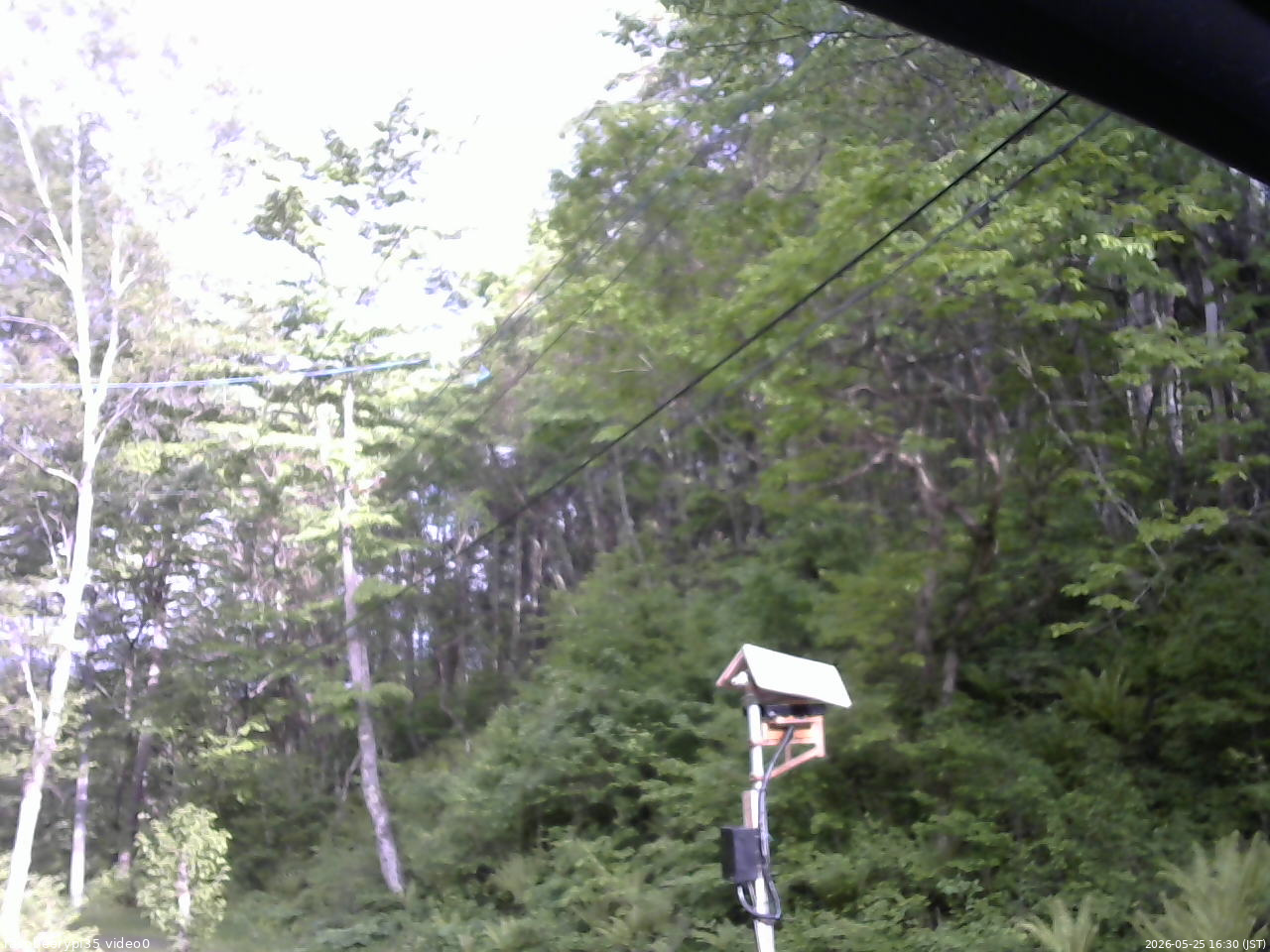 長野県菅平高原 ゆたか山荘 温度計 2026/05/25 16:30
