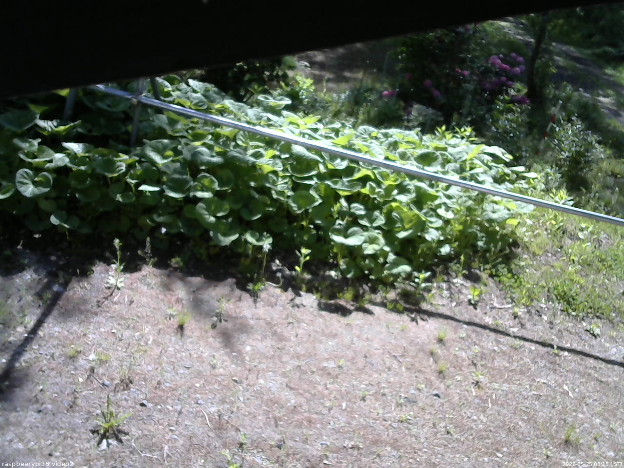 長野県菅平高原 ゆたか山荘 駐車場 2026/05/25 08:15