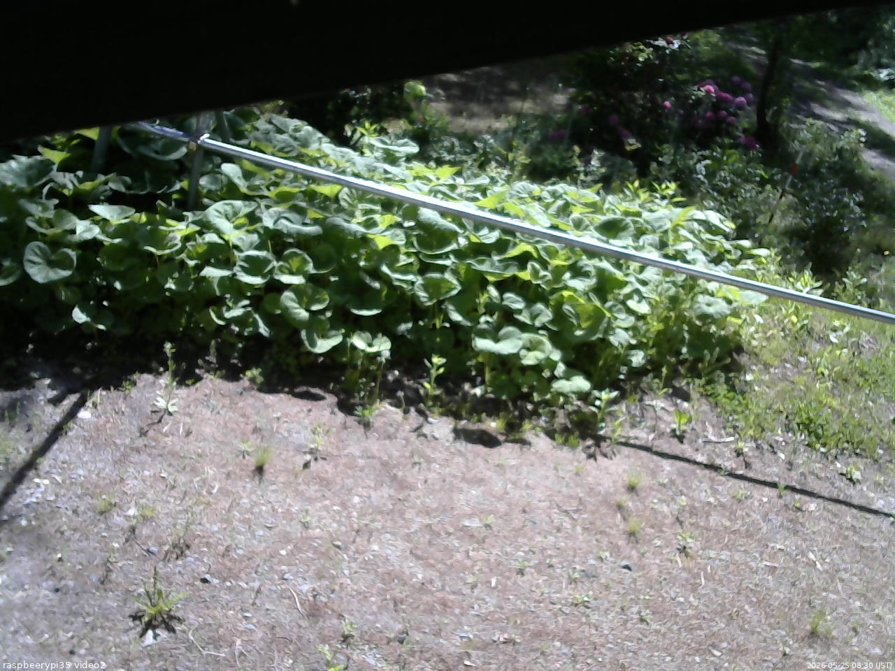 長野県菅平高原 ゆたか山荘 駐車場 2026/05/25 08:30