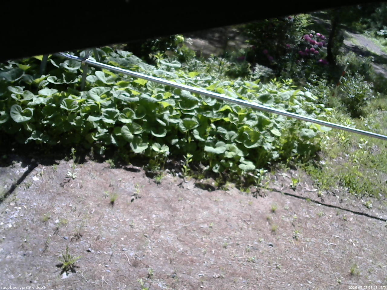 長野県菅平高原 ゆたか山荘 駐車場 2026/05/25 08:45