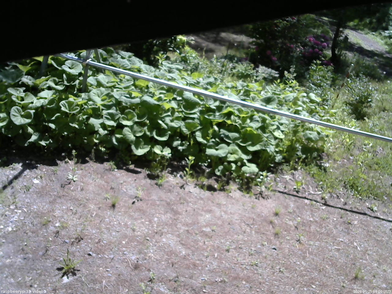 長野県菅平高原 ゆたか山荘 駐車場 2026/05/25 09:00