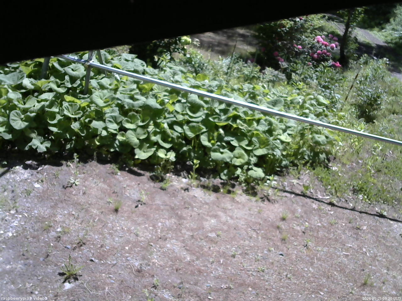 長野県菅平高原 ゆたか山荘 駐車場 2026/05/25 09:30