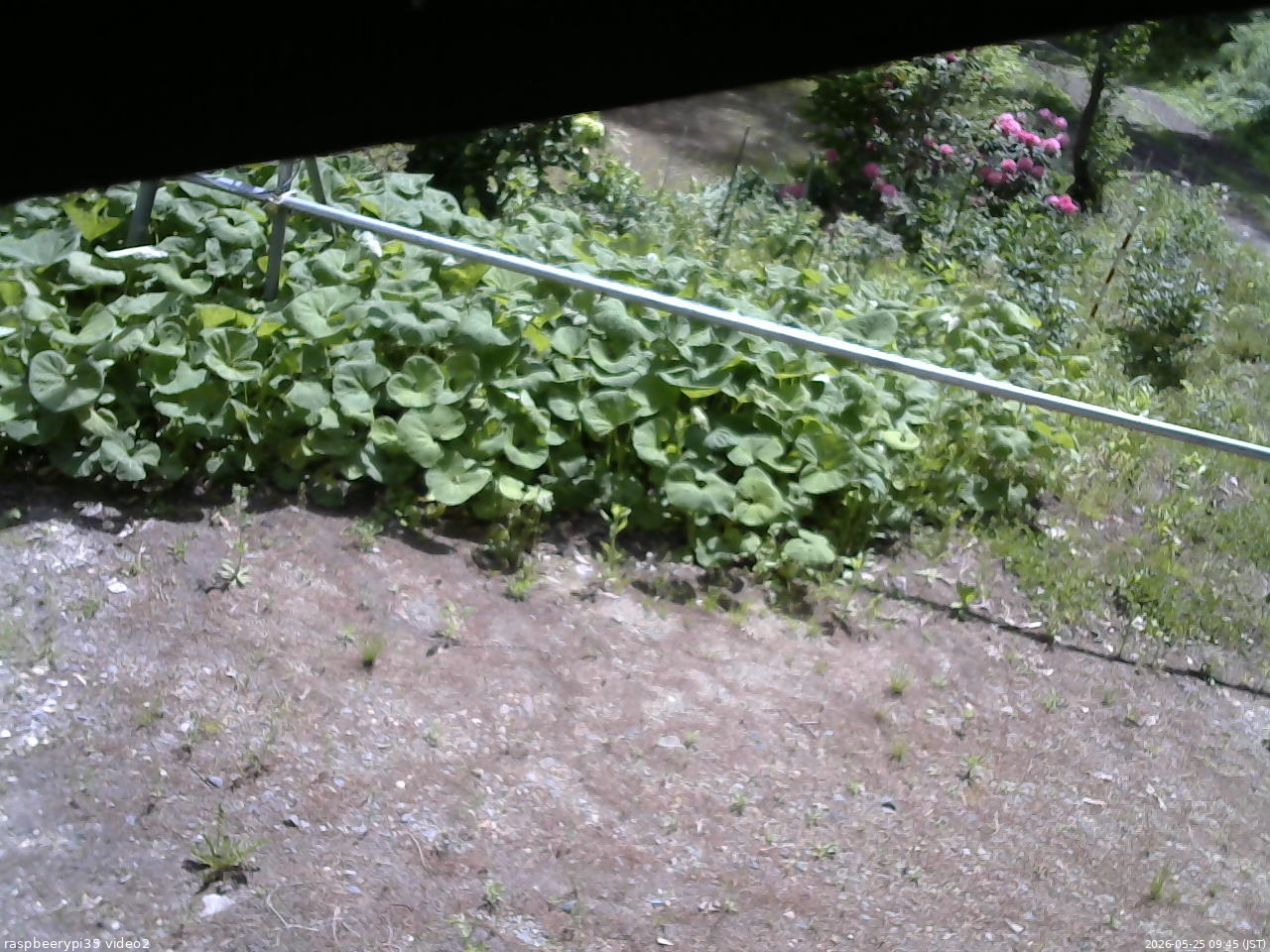 長野県菅平高原 ゆたか山荘 駐車場 2026/05/25 09:45