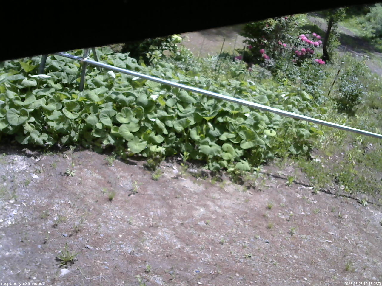 長野県菅平高原 ゆたか山荘 駐車場 2026/05/25 10:15