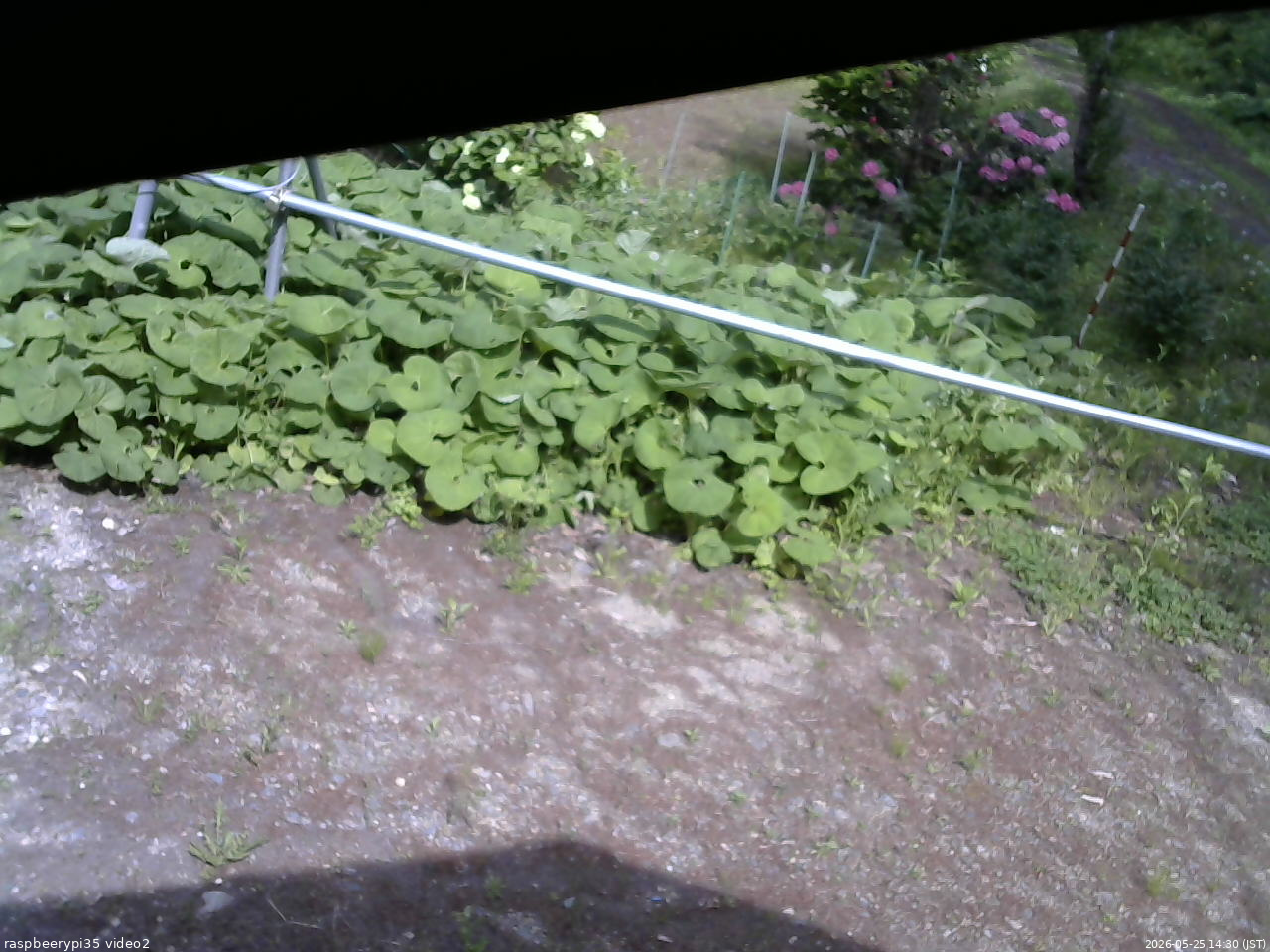 長野県菅平高原 ゆたか山荘 駐車場 2026/05/25 14:30