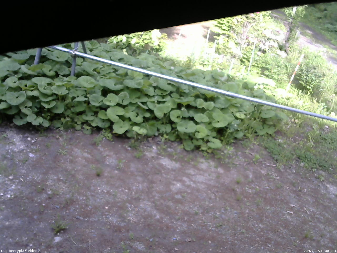 長野県菅平高原 ゆたか山荘 駐車場 2026/05/25 16:30