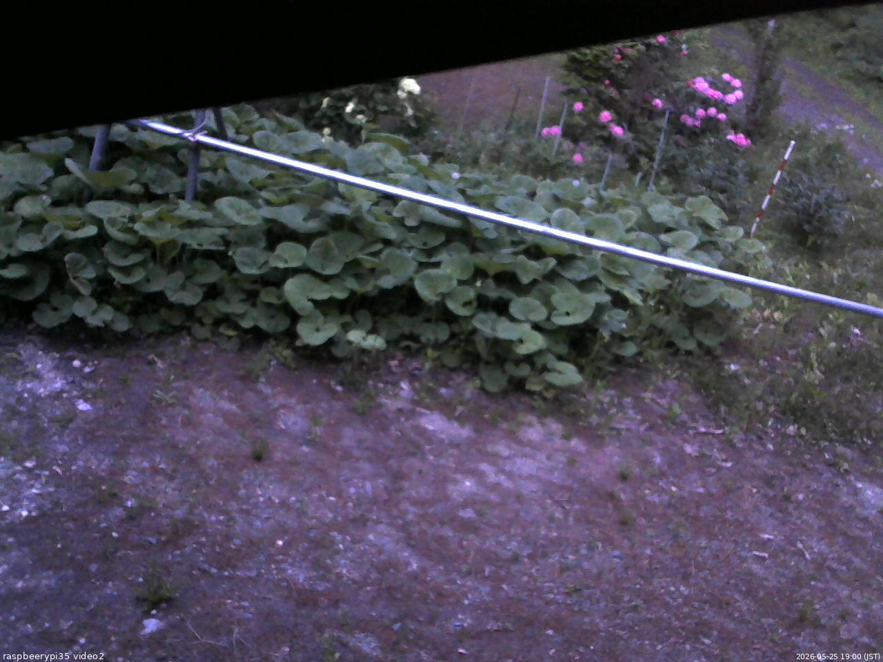 長野県菅平高原 ゆたか山荘 駐車場 2026/05/25 19:00