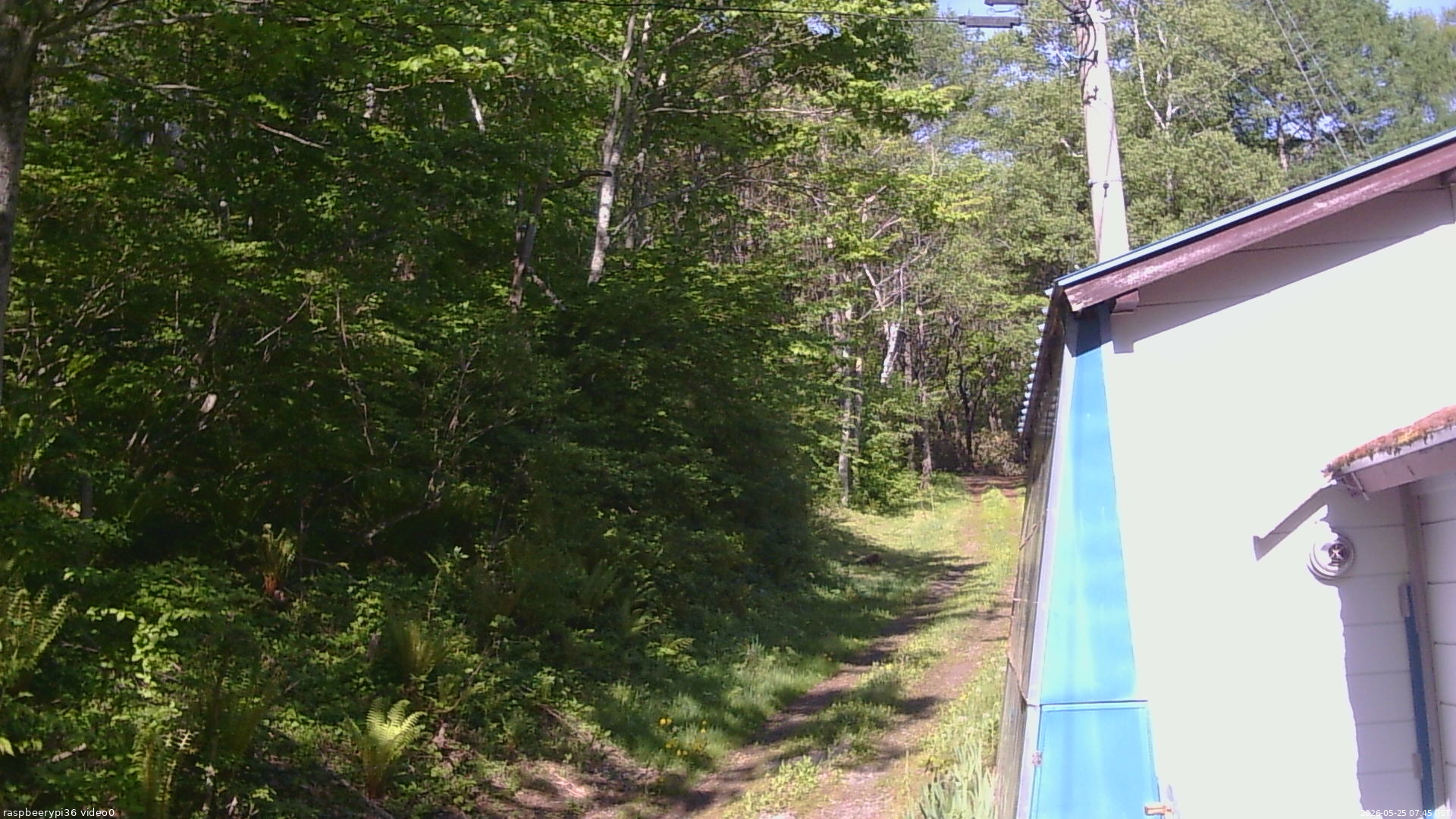 長野県菅平高原 ゆたか山荘 ゆたか山荘 2026/05/25 07:45