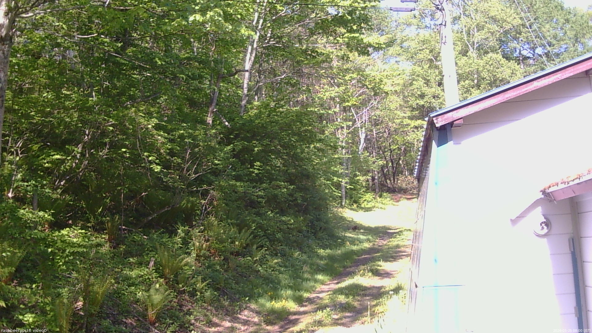 長野県菅平高原 ゆたか山荘 ゆたか山荘 2026/05/25 08:00