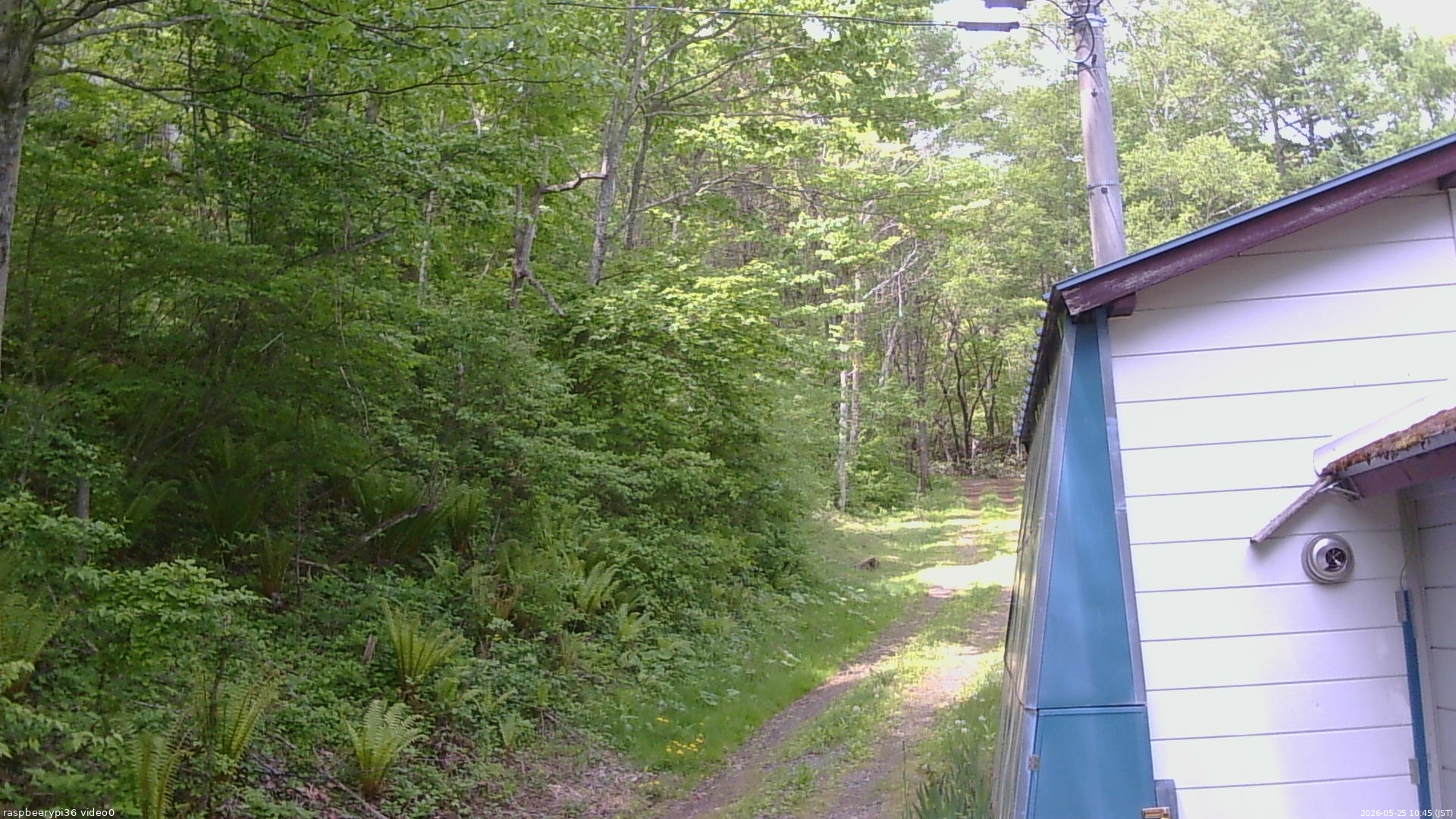 長野県菅平高原 ゆたか山荘 ゆたか山荘 2026/05/25 10:45