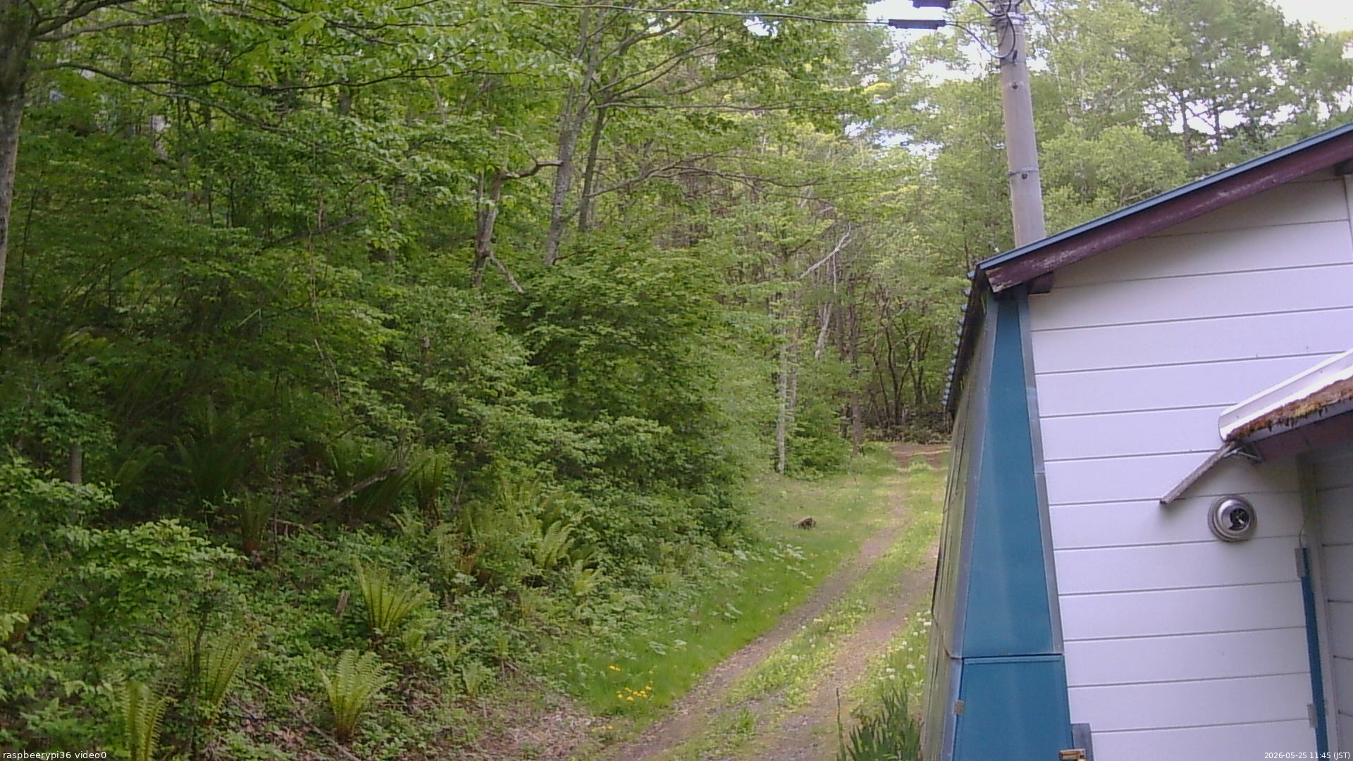 長野県菅平高原 ゆたか山荘 ゆたか山荘 2026/05/25 11:45