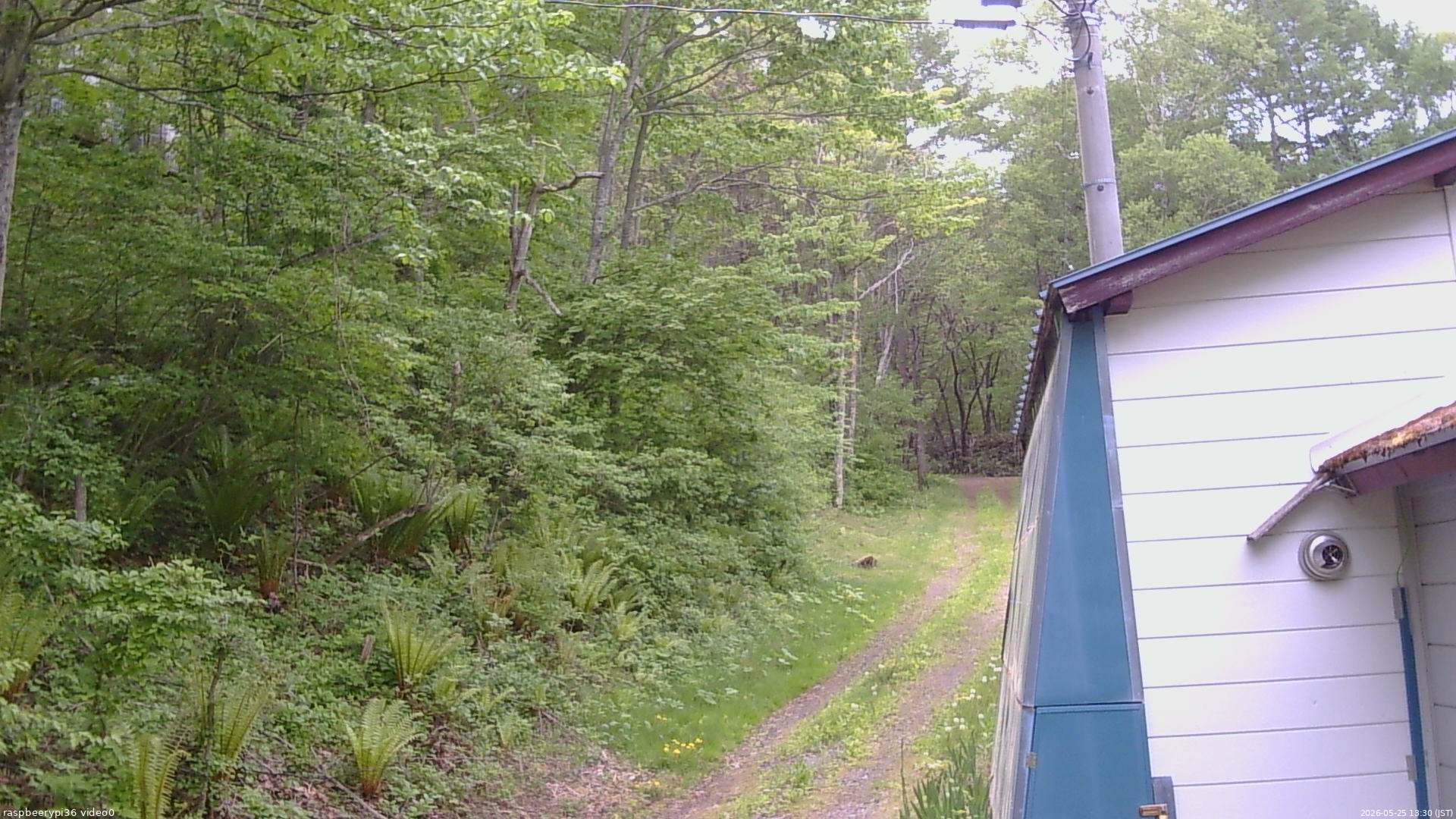 長野県菅平高原 ゆたか山荘 ゆたか山荘 2026/05/25 13:30