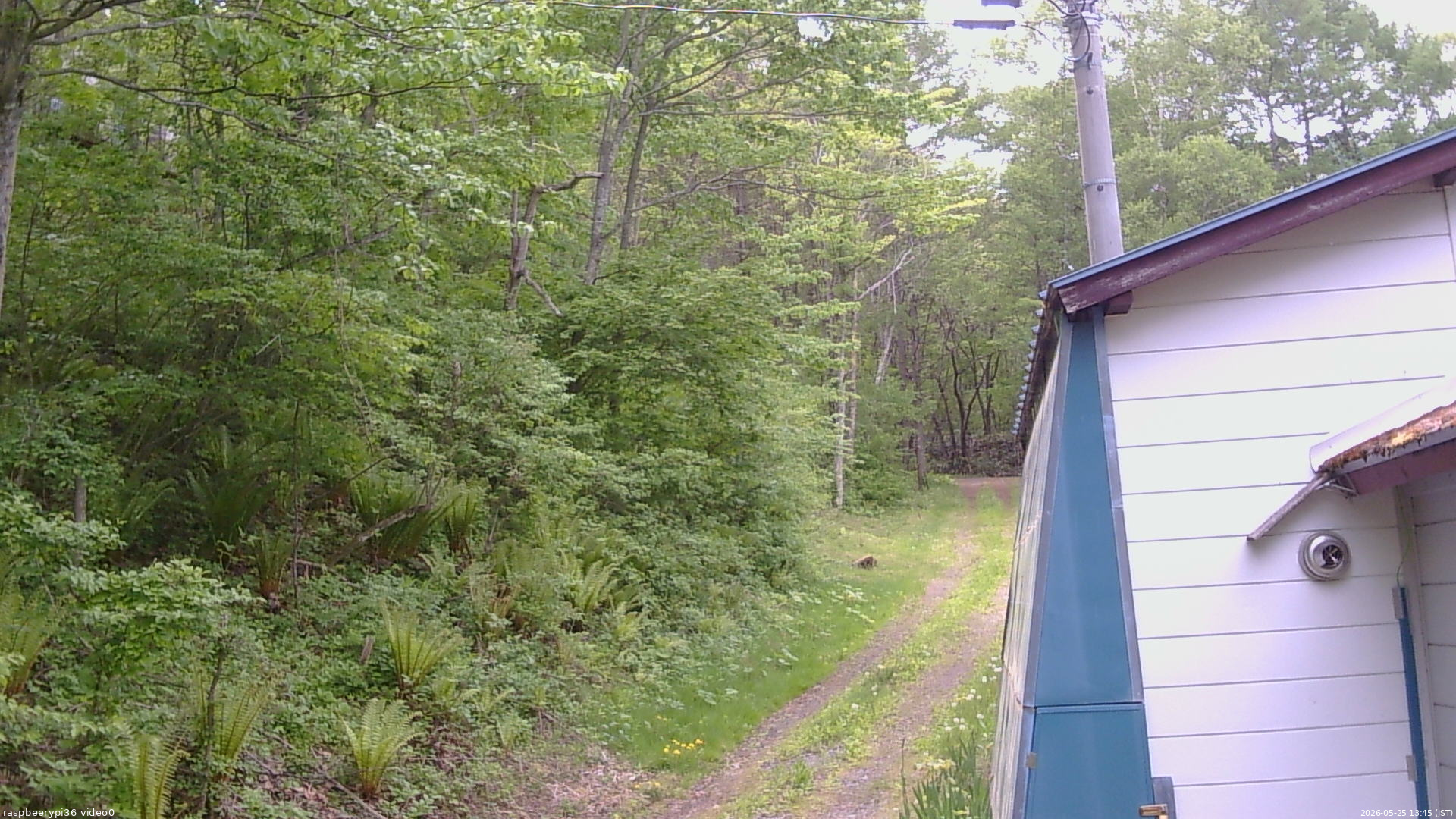 長野県菅平高原 ゆたか山荘 ゆたか山荘 2026/05/25 13:45