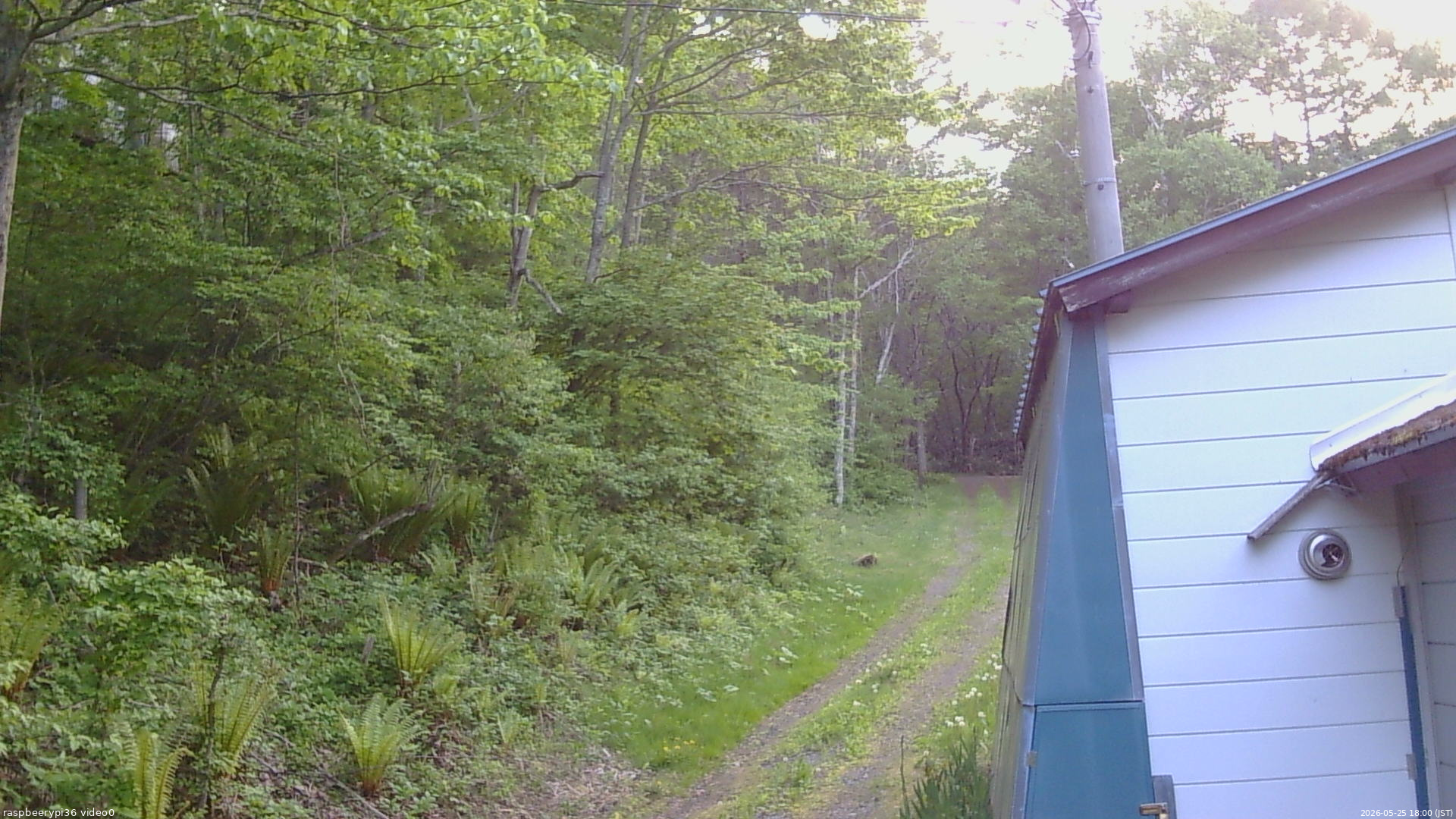 長野県菅平高原 ゆたか山荘 ゆたか山荘 2026/05/25 18:00