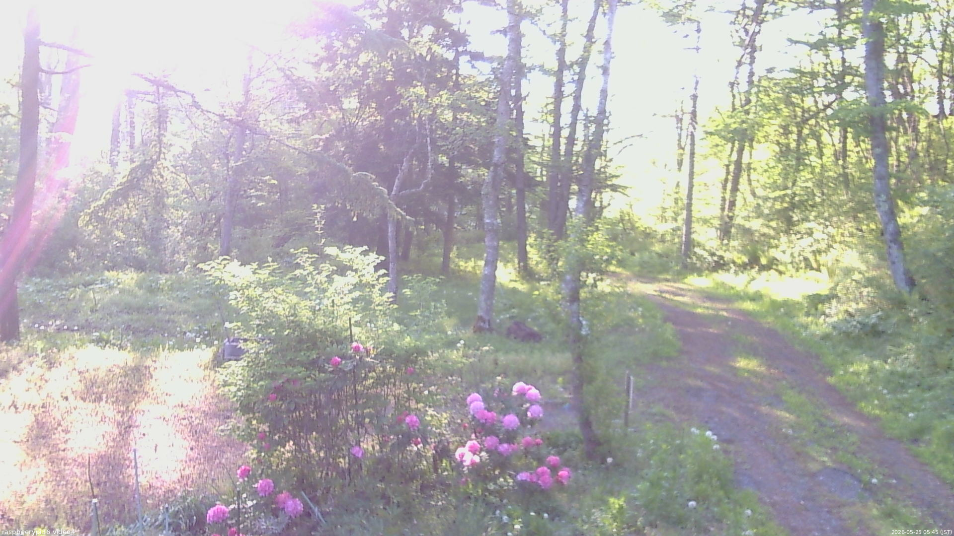 長野県菅平高原 ゆたか山荘 坂上 2026/05/25 05:45