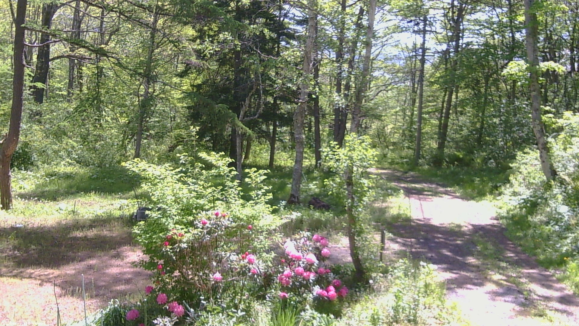 長野県菅平高原 ゆたか山荘 坂上 2026/05/25 09:30