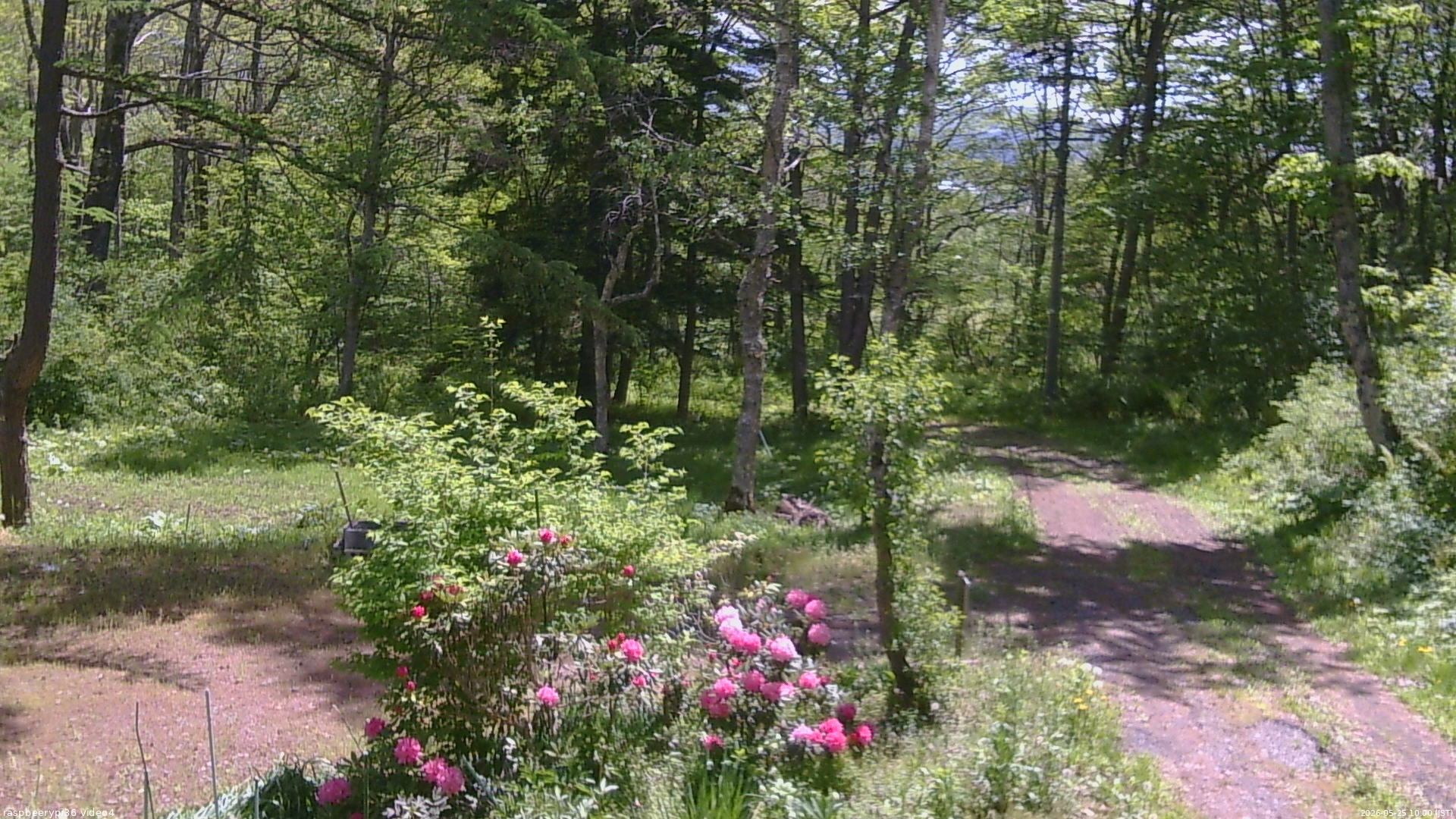 長野県菅平高原 ゆたか山荘 坂上 2026/05/25 10:00