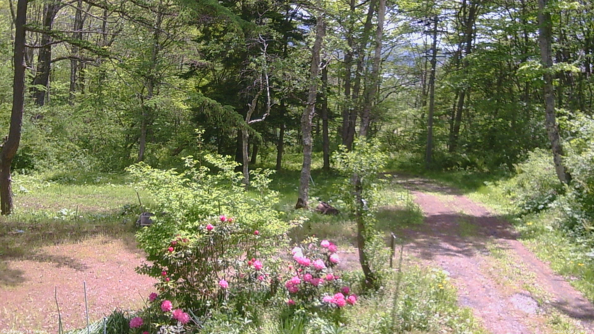 長野県菅平高原 ゆたか山荘 坂上 2026/05/25 10:30