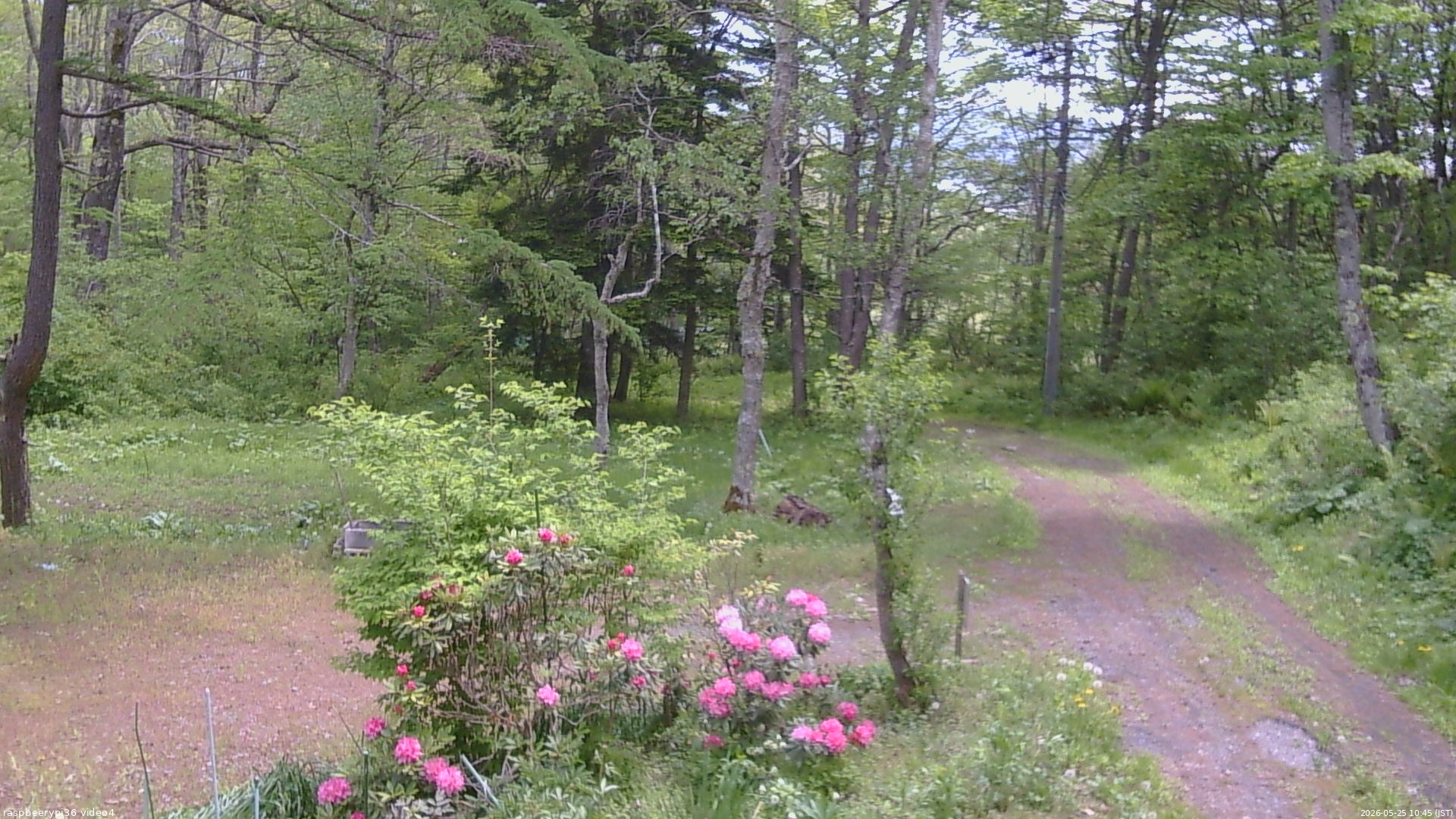 長野県菅平高原 ゆたか山荘 坂上 2026/05/25 10:45