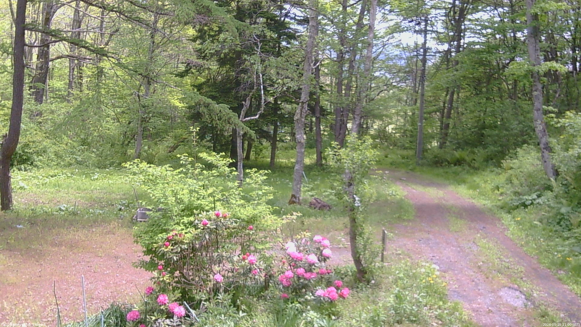 長野県菅平高原 ゆたか山荘 坂上 2026/05/25 11:00