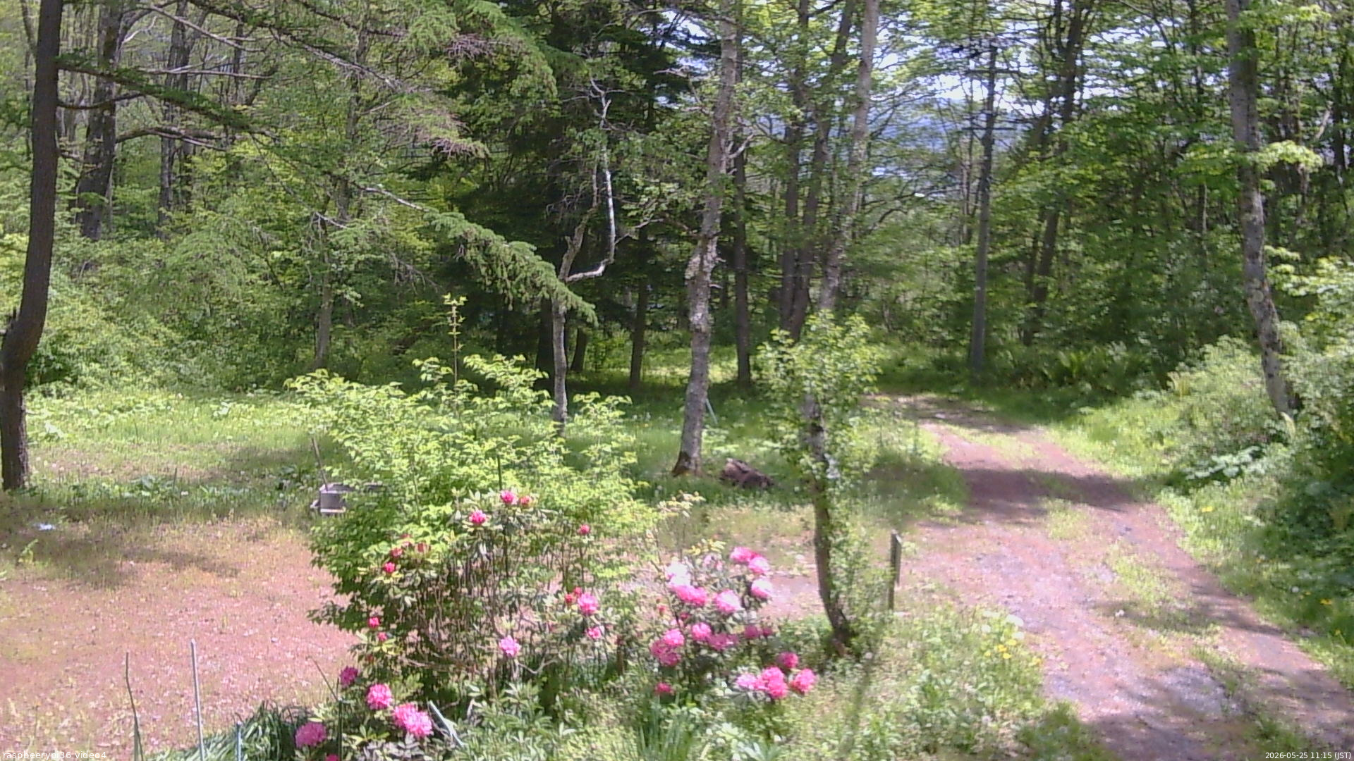 長野県菅平高原 ゆたか山荘 坂上 2026/05/25 11:15