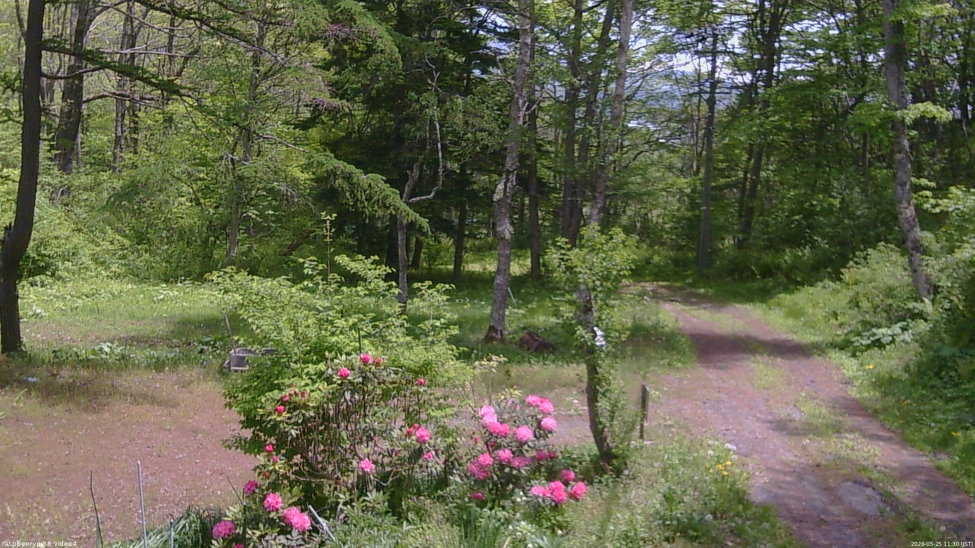 長野県菅平高原 ゆたか山荘 坂上 2026/05/25 11:30