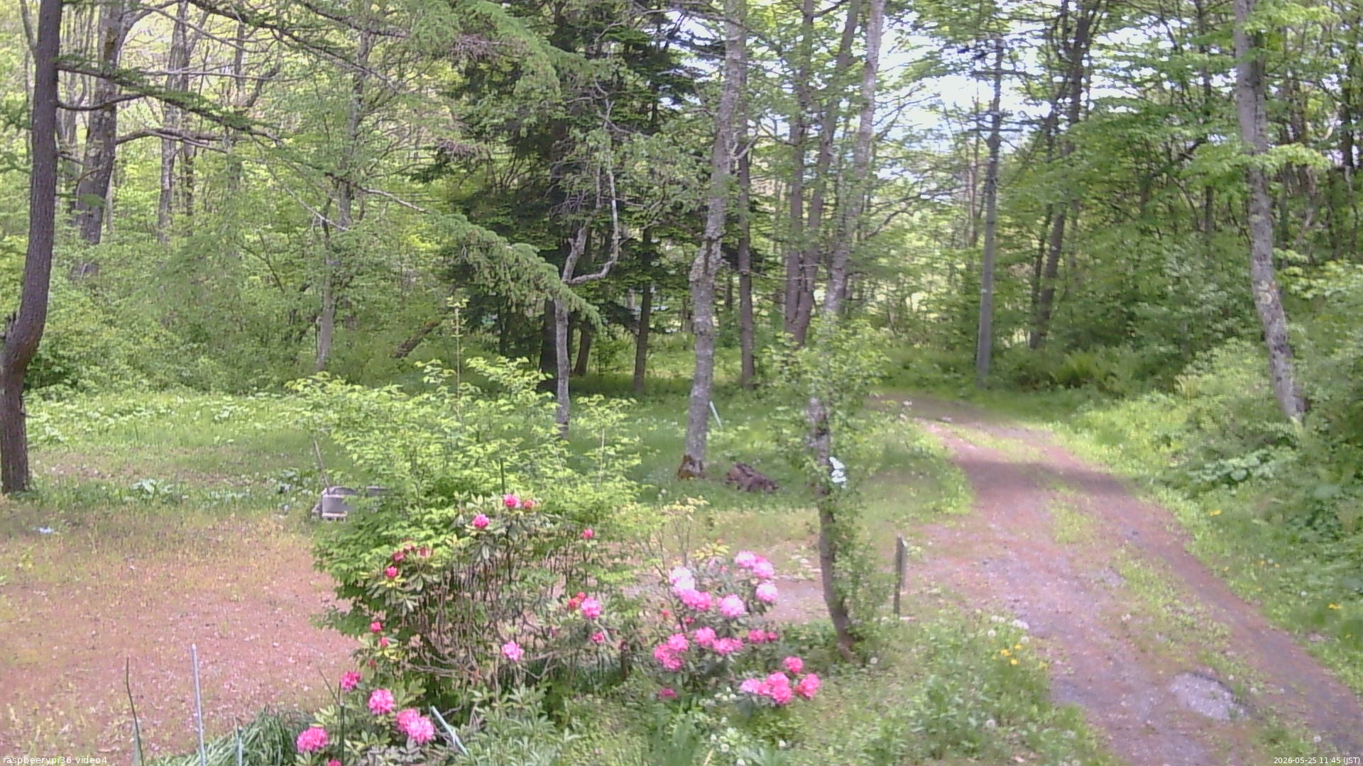 長野県菅平高原 ゆたか山荘 坂上 2026/05/25 11:45
