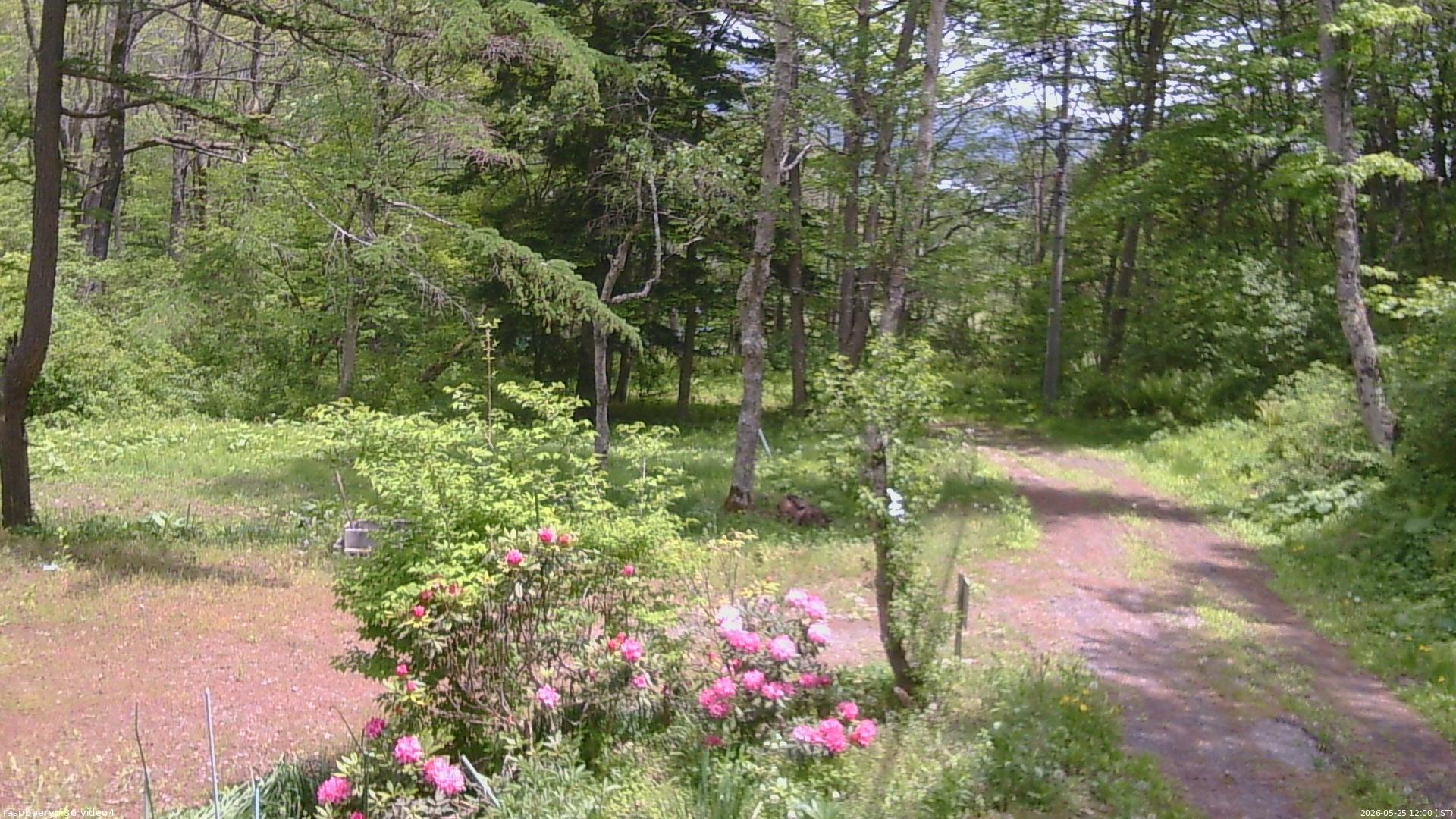 長野県菅平高原 ゆたか山荘 坂上 2026/05/25 12:00