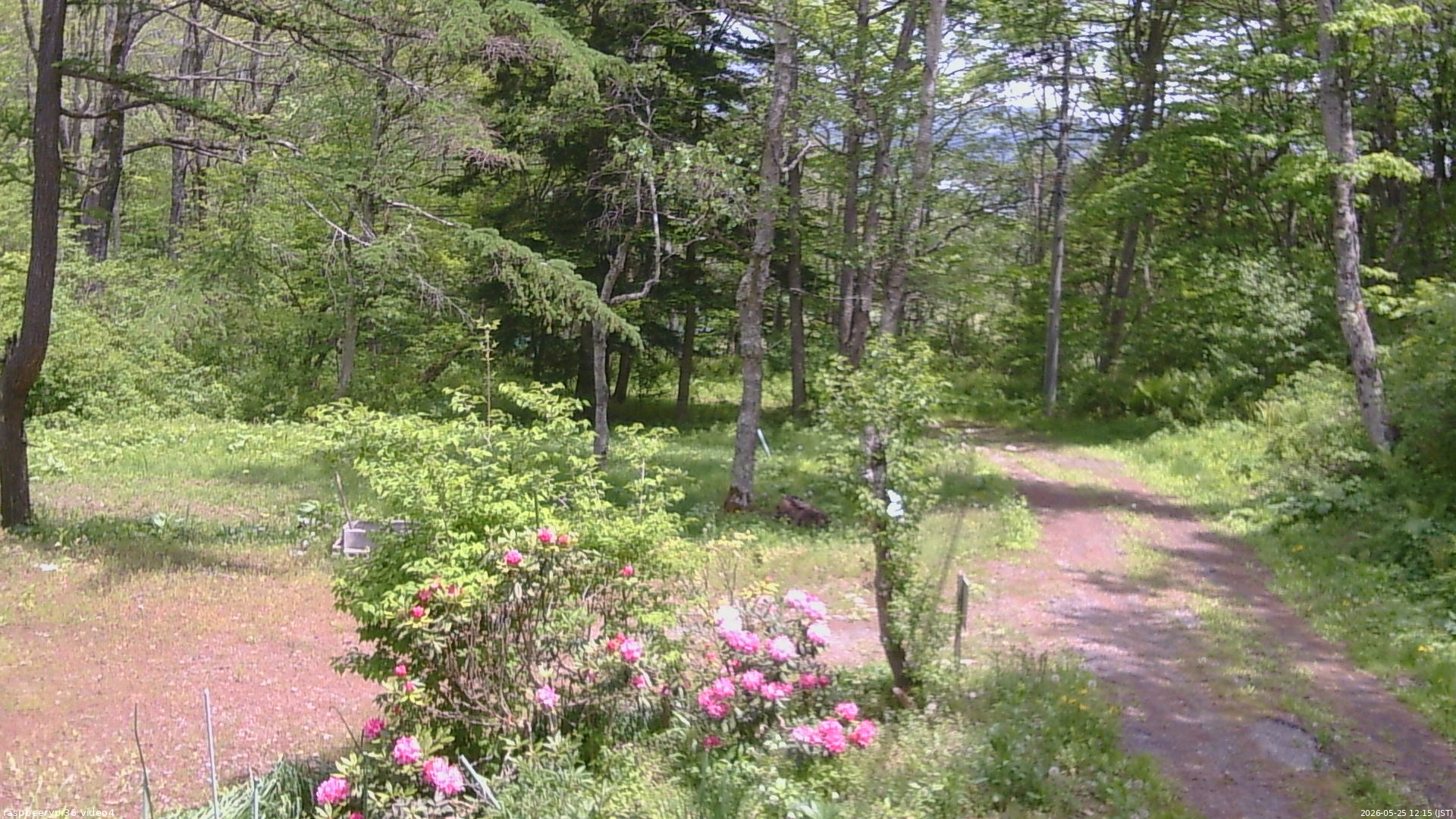長野県菅平高原 ゆたか山荘 坂上 2026/05/25 12:15