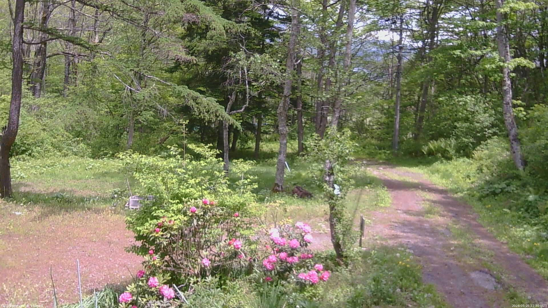 長野県菅平高原 ゆたか山荘 坂上 2026/05/25 12:30