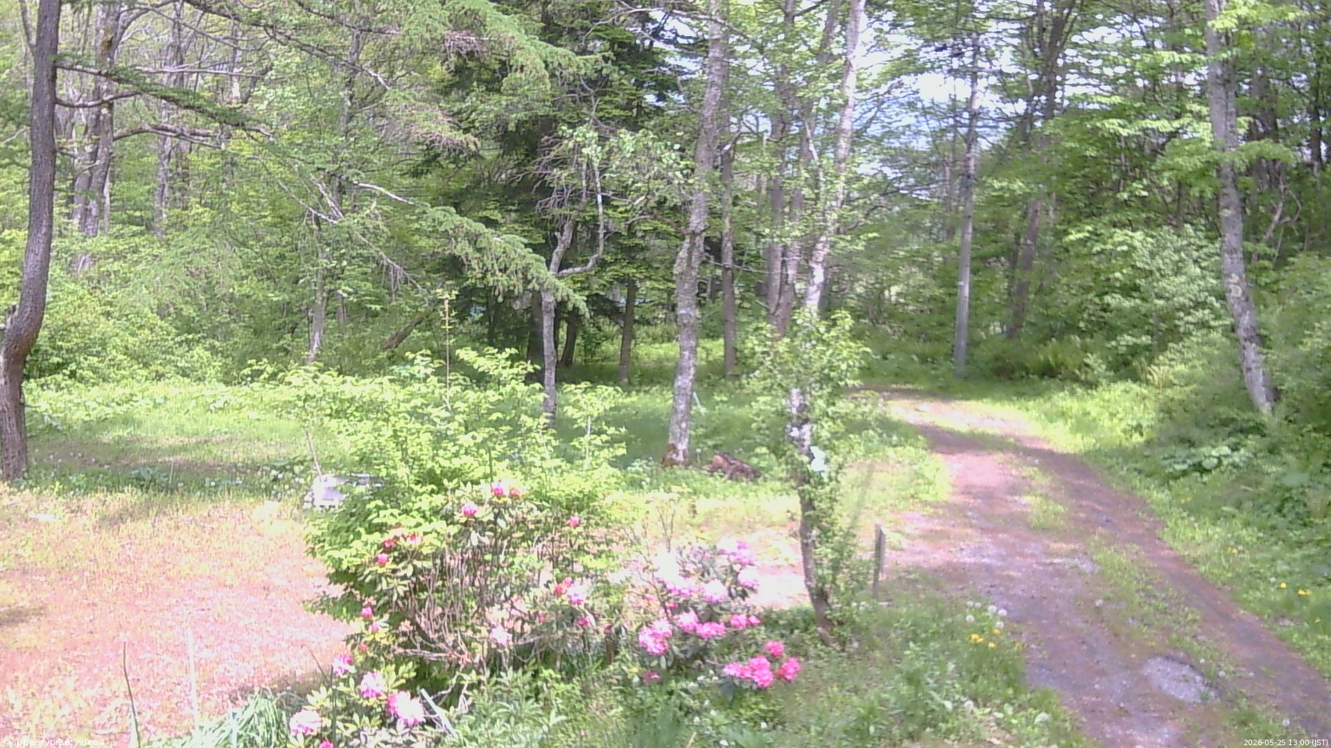 長野県菅平高原 ゆたか山荘 坂上 2026/05/25 13:00