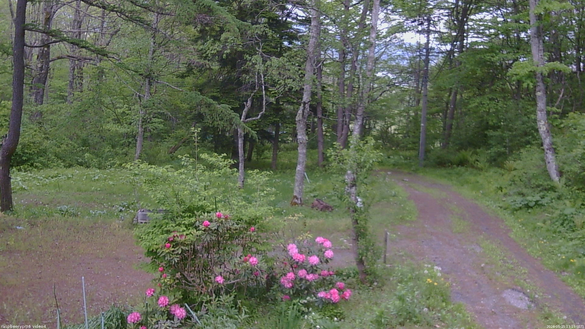 長野県菅平高原 ゆたか山荘 坂上 2026/05/25 13:15